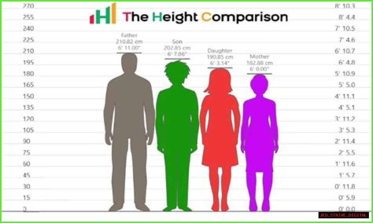 Steiny Height: Understanding The Significance Of Height In The Gaming World